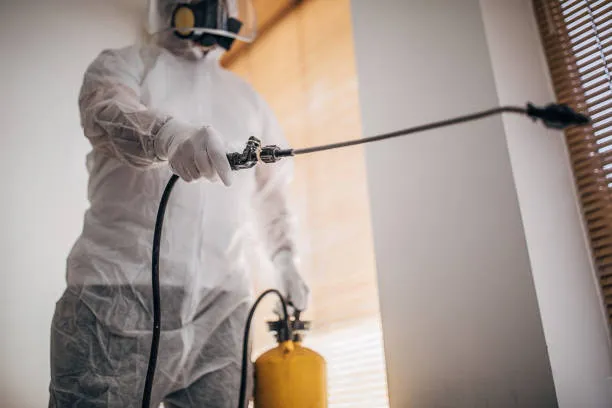 Dedetização de baratas em apartamento