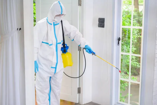 Dedetização de pragas