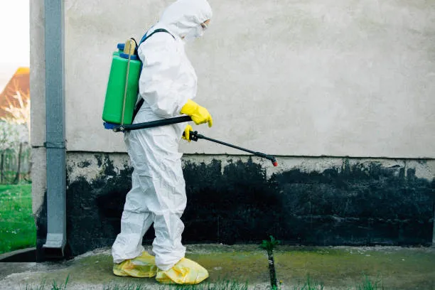 Desinsetização residencial