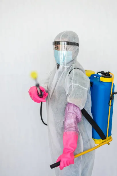 Empresa de dedetização e desratização